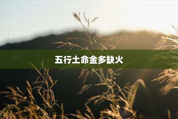 五行土命金多缺火