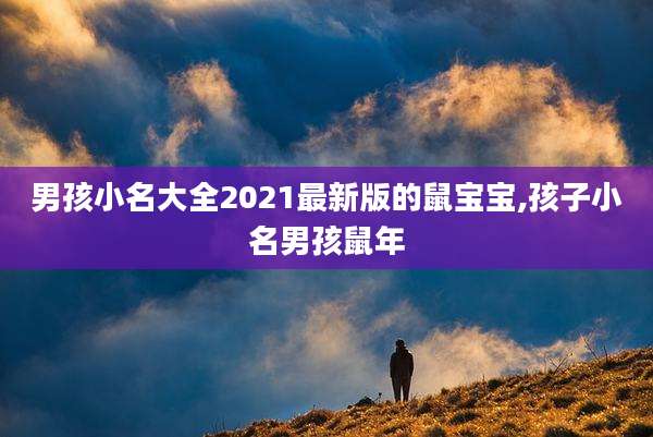 男孩小名大全2021最新版的鼠宝宝,孩子小名男孩鼠年