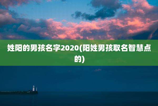 姓阳的男孩名字2020(阳姓男孩取名智慧点的)