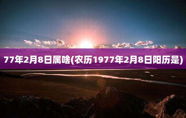 77年2月8日属啥(农历1977年2月8日阳历是)