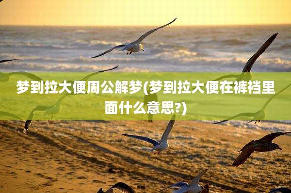 梦到拉大便周公解梦(梦到拉大便在裤裆里面什么意思?)