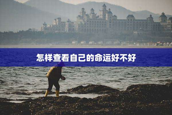 怎样查看自己的命运好不好