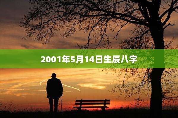 2001年5月14日生辰八字