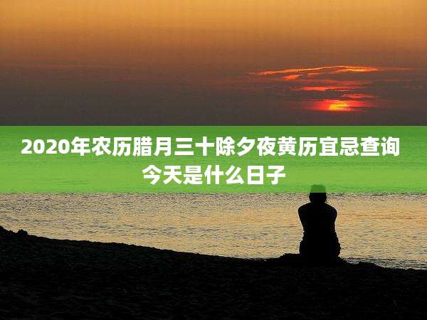 2020年农历腊月三十除夕夜黄历宜忌查询 今天是什么日子