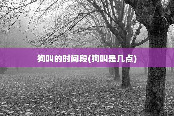 狗叫的时间段(狗叫是几点)