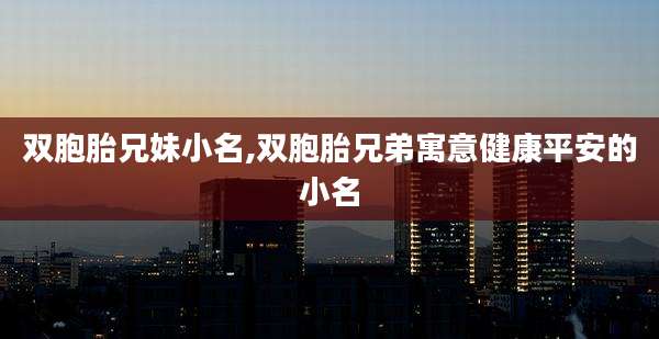 双胞胎兄妹小名,双胞胎兄弟寓意健康平安的小名