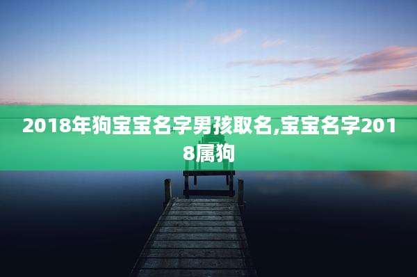 2018年狗宝宝名字男孩取名,宝宝名字2018属狗
