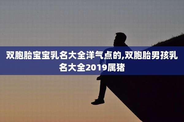 双胞胎宝宝乳名大全洋气点的,双胞胎男孩乳名大全2019属猪