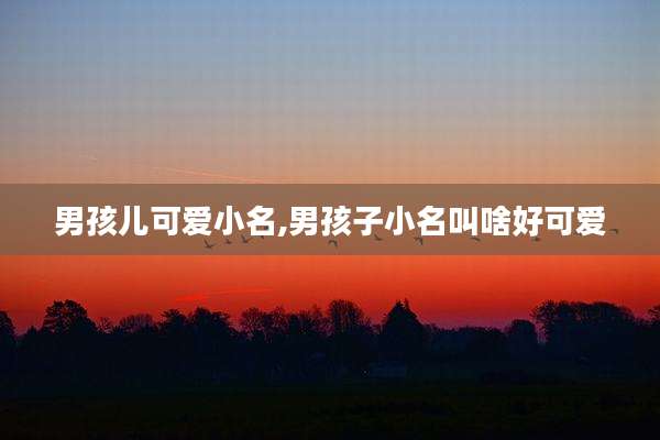 男孩儿可爱小名,男孩子小名叫啥好可爱
