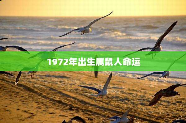 1972年出生属鼠人命运