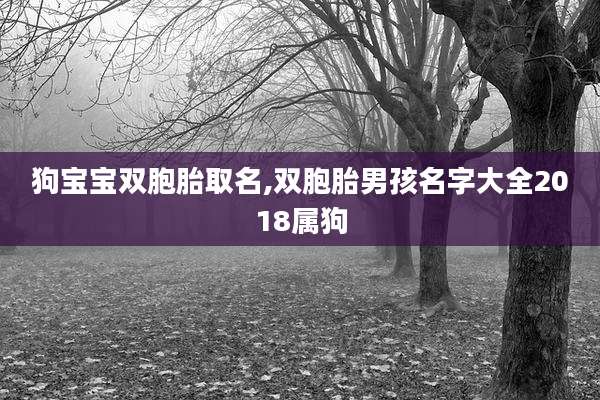 狗宝宝双胞胎取名,双胞胎男孩名字大全2018属狗