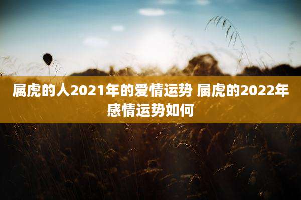 属虎的人2021年的爱情运势 属虎的2022年感情运势如何