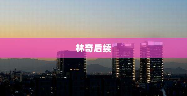 林奇后续