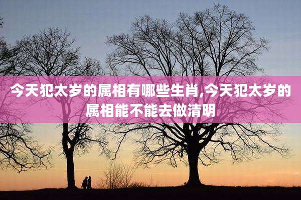 今天犯太岁的属相有哪些生肖,今天犯太岁的属相能不能去做清明