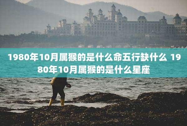 1980年10月属猴的是什么命五行缺什么 1980年10月属猴的是什么星座