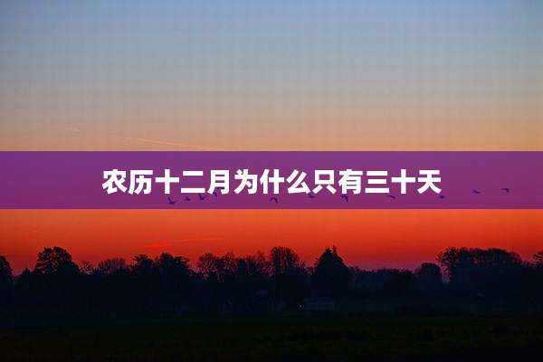 农历十二月为什么只有三十天