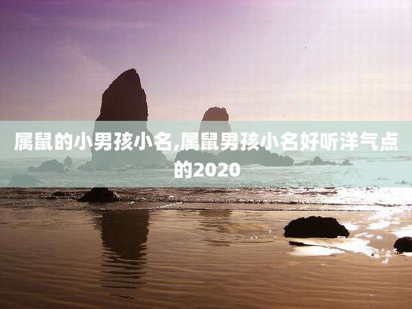 属鼠的小男孩小名,属鼠男孩小名好听洋气点的2020