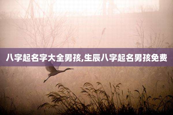八字起名字大全男孩,生辰八字起名男孩免费