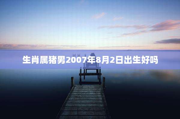 生肖属猪男2007年8月2日出生好吗