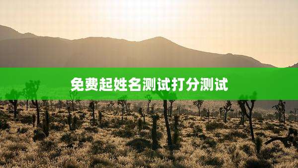 免费起姓名测试打分测试