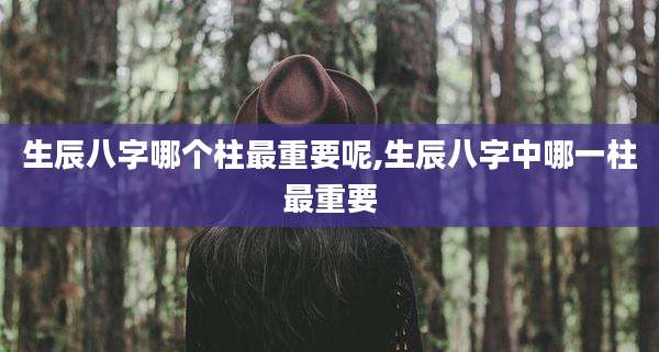 生辰八字哪个柱最重要呢,生辰八字中哪一柱最重要