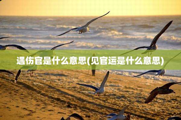 遇伤官是什么意思(见官运是什么意思)