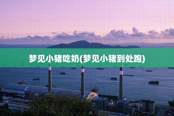 梦见小猪吃奶(梦见小猪到处跑)