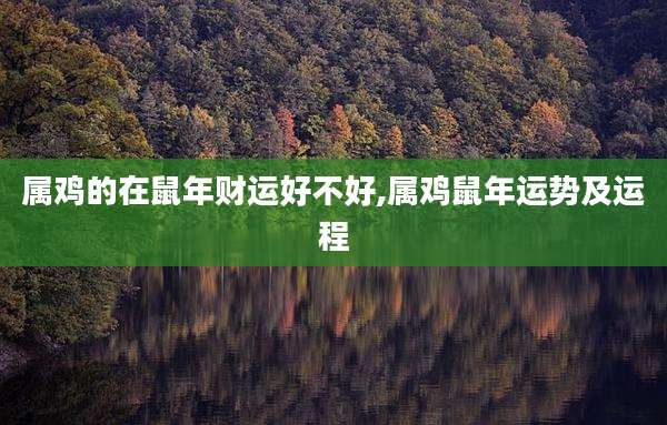属鸡的在鼠年财运好不好,属鸡鼠年运势及运程