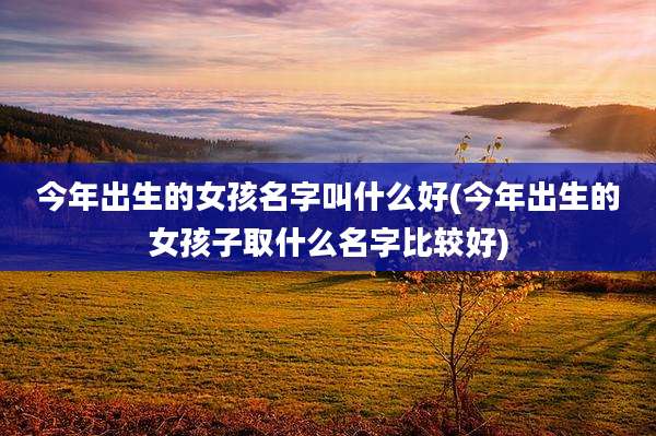 今年出生的女孩名字叫什么好(今年出生的女孩子取什么名字比较好)