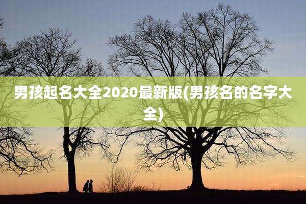 男孩起名大全2020最新版(男孩名的名字大全)