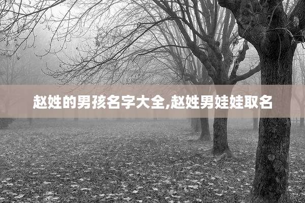 赵姓的男孩名字大全,赵姓男娃娃取名