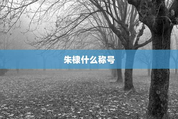 朱棣什么称号