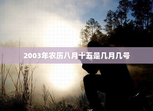 2003年农历八月十五是几月几号