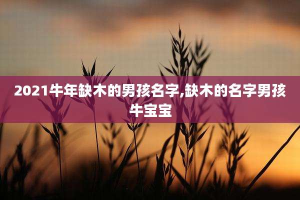 2021牛年缺木的男孩名字,缺木的名字男孩牛宝宝