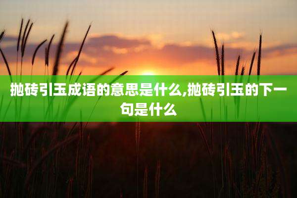 抛砖引玉成语的意思是什么,抛砖引玉的下一句是什么