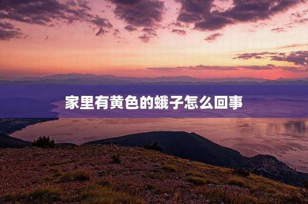 家里有黄色的蛾子怎么回事