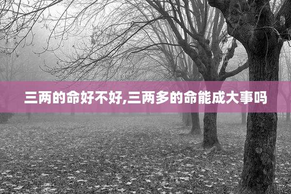 三两的命好不好,三两多的命能成大事吗