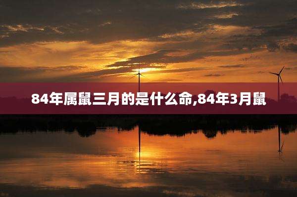 84年属鼠三月的是什么命,84年3月鼠