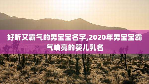 好听又霸气的男宝宝名字,2020年男宝宝霸气响亮的婴儿乳名