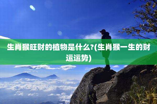 生肖猴旺财的植物是什么?(生肖猴一生的财运运势)