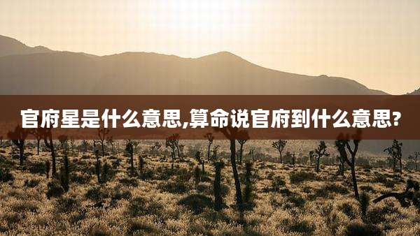 官府星是什么意思,算命说官府到什么意思?