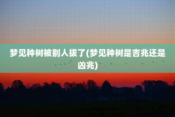 梦见种树被别人拔了(梦见种树是吉兆还是凶兆)