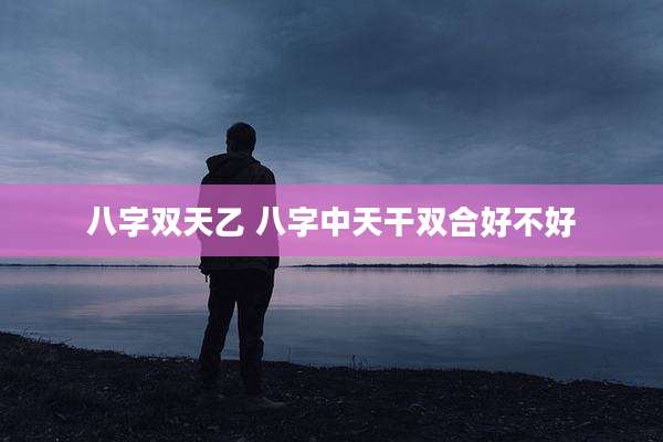 八字双天乙 八字中天干双合好不好