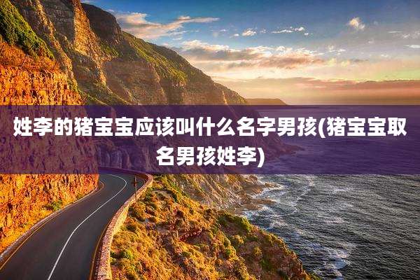姓李的猪宝宝应该叫什么名字男孩(猪宝宝取名男孩姓李)