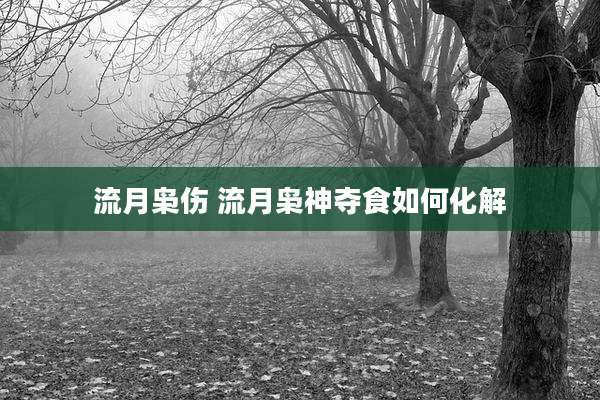 流月枭伤 流月枭神夺食如何化解