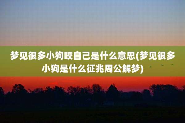 梦见很多小狗咬自己是什么意思(梦见很多小狗是什么征兆周公解梦)