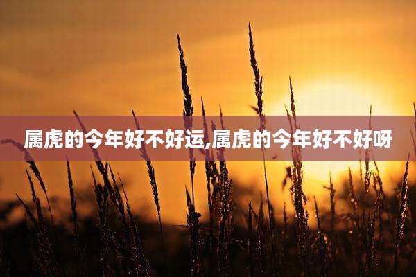 属虎的今年好不好运,属虎的今年好不好呀