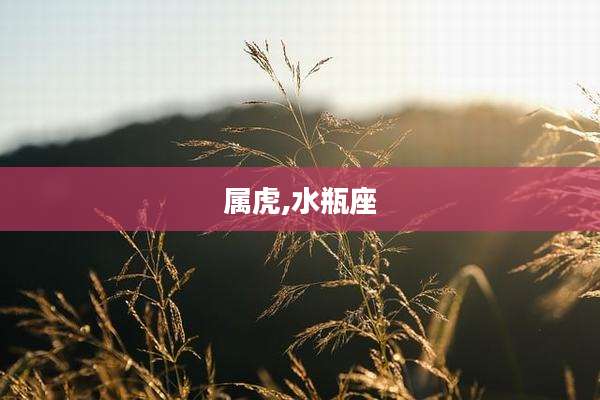 属虎,水瓶座
