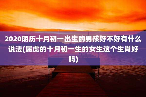 2020阴历十月初一出生的男孩好不好有什么说法(属虎的十月初一生的女生这个生肖好吗)