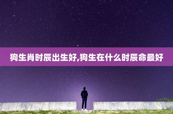 狗生肖时辰出生好,狗生在什么时辰命最好